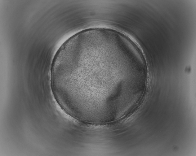 X0000113630951200910021849