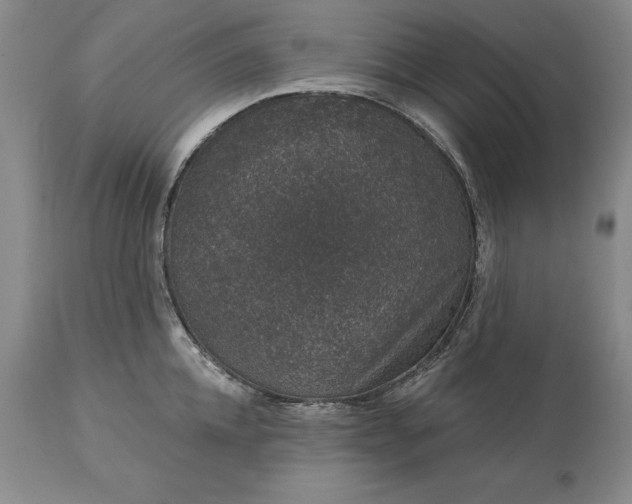 X0000113630952200910021849