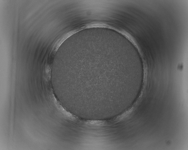 X0000113630953200910021849