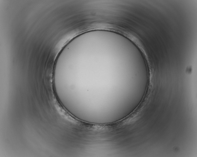 X0000113630954200910021849