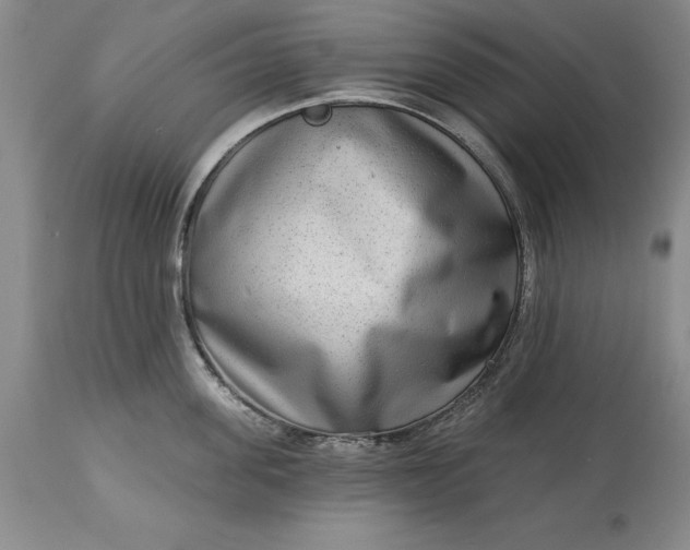 X0000113630955200910021849