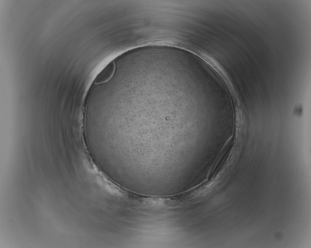 X0000113630956200910021849