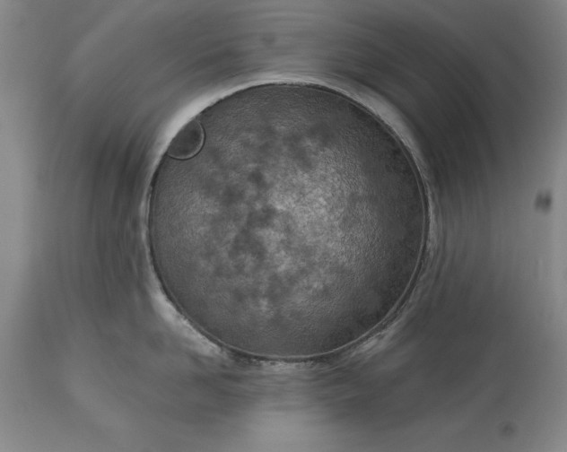 X0000113630958200910021849