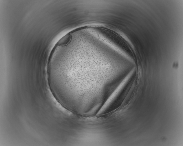 X0000113630959200910021849