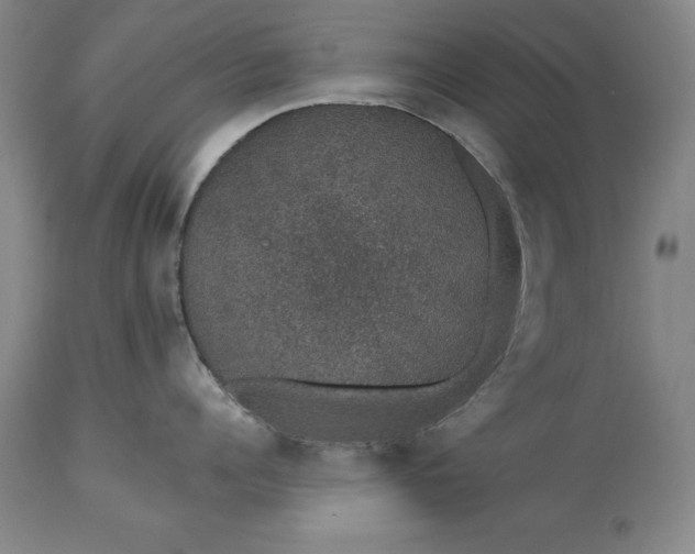 X0000113630960200910021849