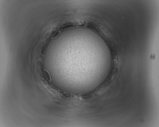 X0000113630961200910021848