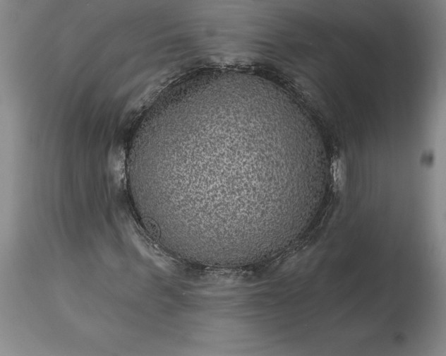 X0000113630963200910021848