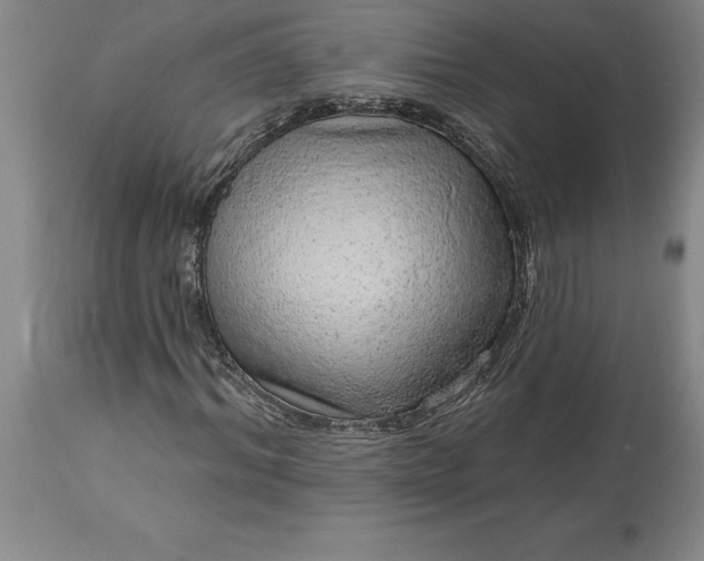 X0000113630964200910021848