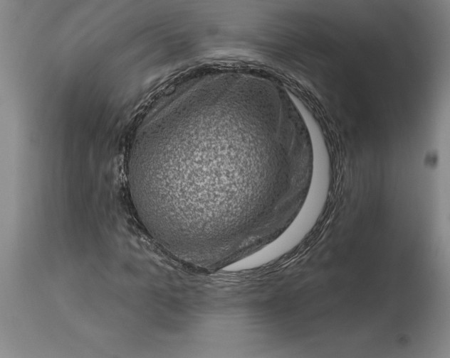 X0000113630965200910021848