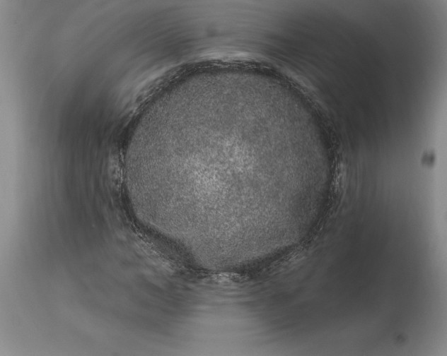 X0000113630966200910021848