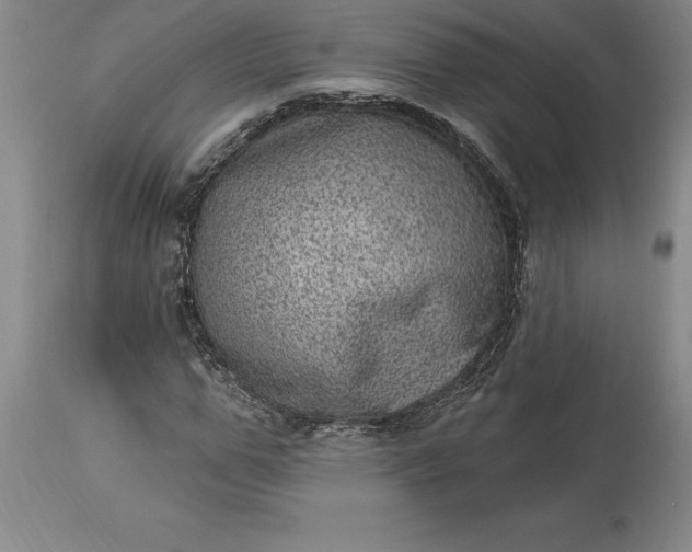 X0000113630967200910021848