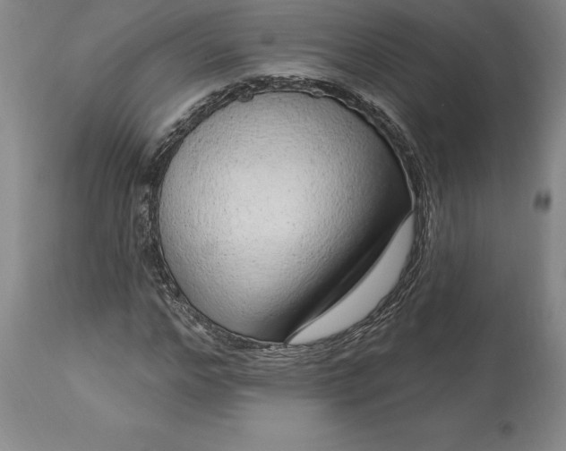 X0000113630968200910021848