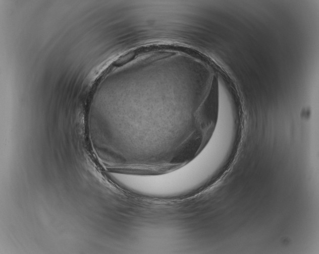 X0000113630969200910021848