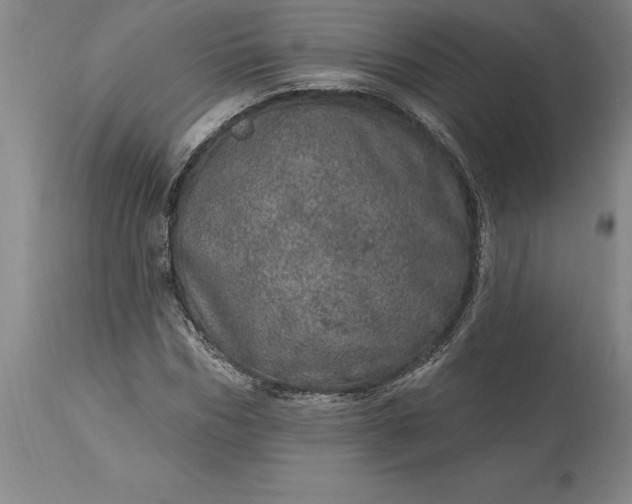 X0000113630970200910021848
