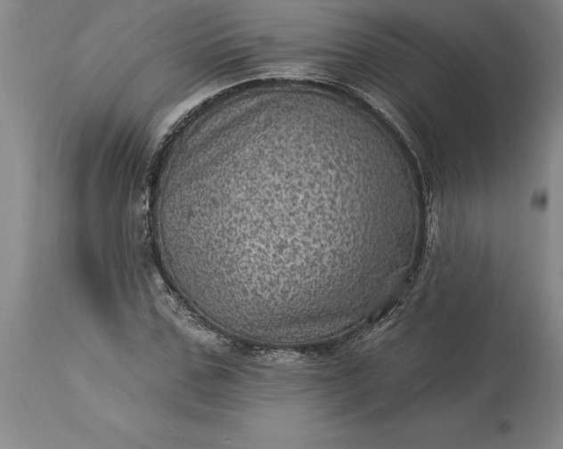 X0000113630971200910021848