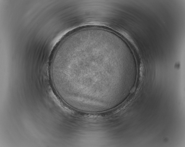 X0000113630972200910021848