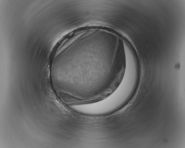 X0000113630973200910021848