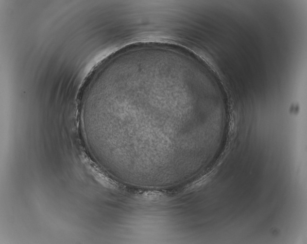 X0000113630974200910021848