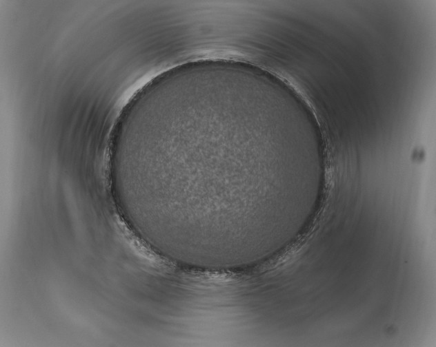 X0000113630975200910021848