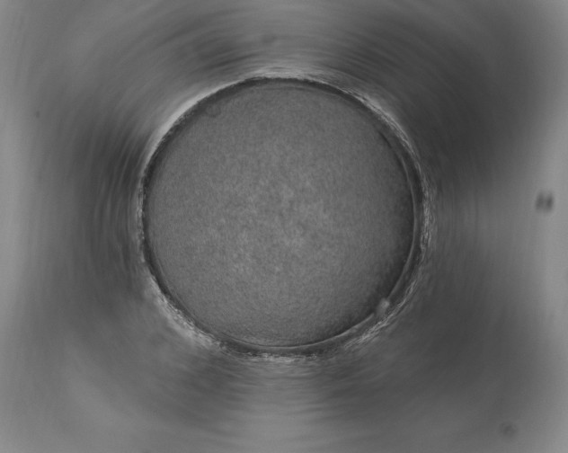 X0000113630976200910021848