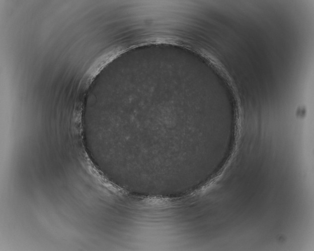 X0000113630977200910021848