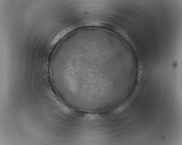 X0000113630978200910021848