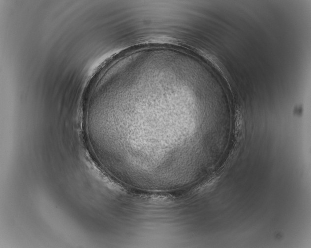 X0000113630979200910021848