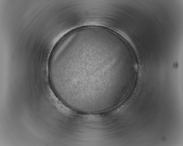 X0000113630980200910021848