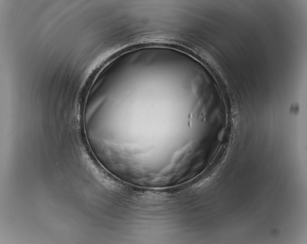 X0000113630981200910021848