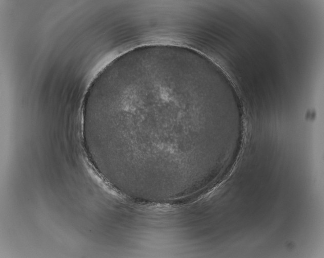 X0000113630982200910021848