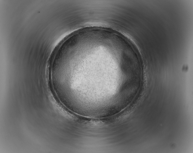 X0000113630983200910021848