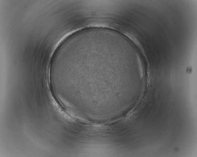 X0000113630984200910021848