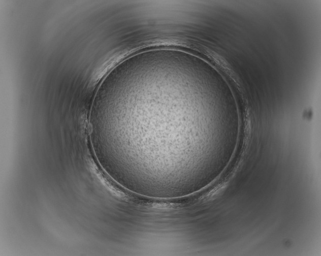X0000113630985200910021848