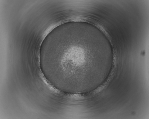 X0000113630986200910021848