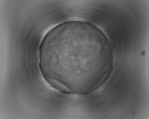 X0000113630987200910021848