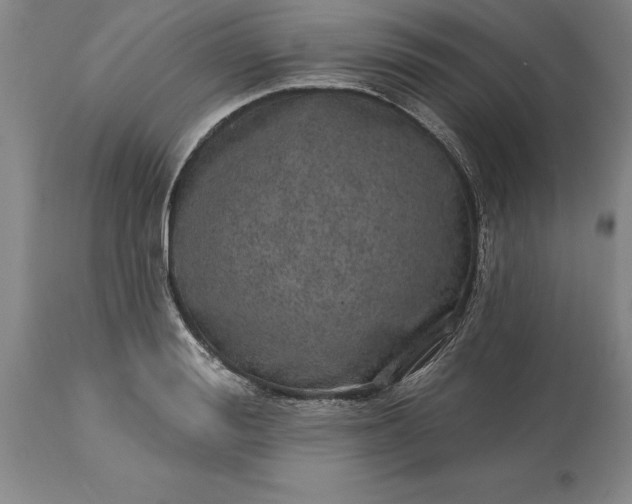 X0000113630988200910021848