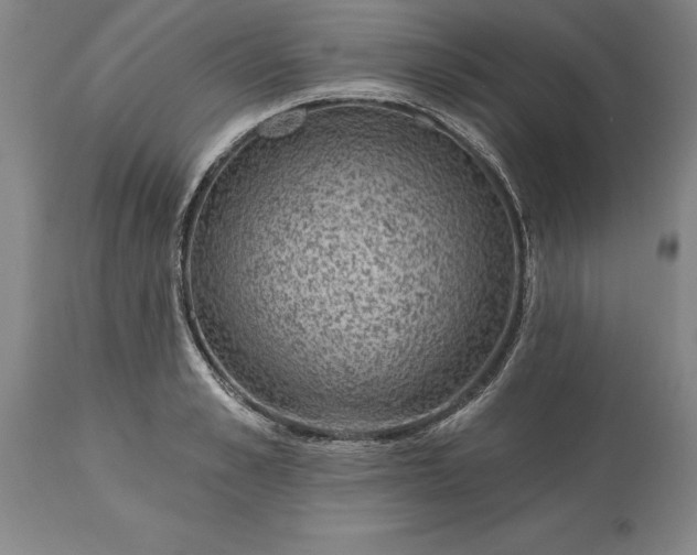 X0000113630989200910021848