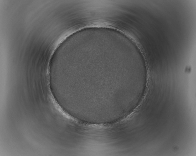X0000113630990200910021848