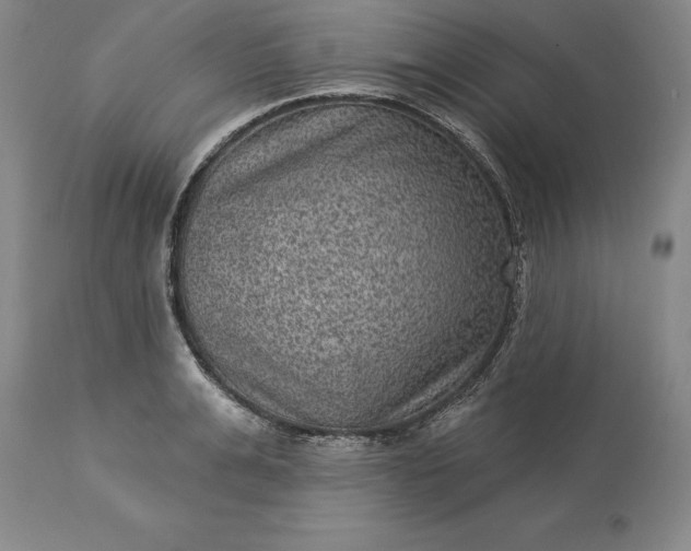 X0000113630991200910021848