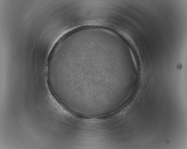X0000113630992200910021848