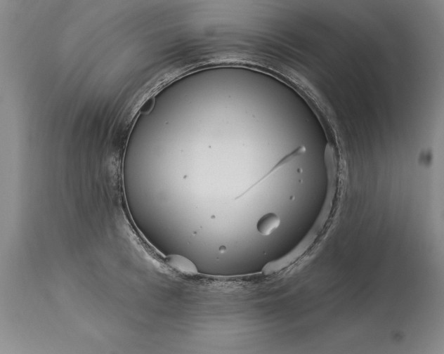 X0000113630993200910021848