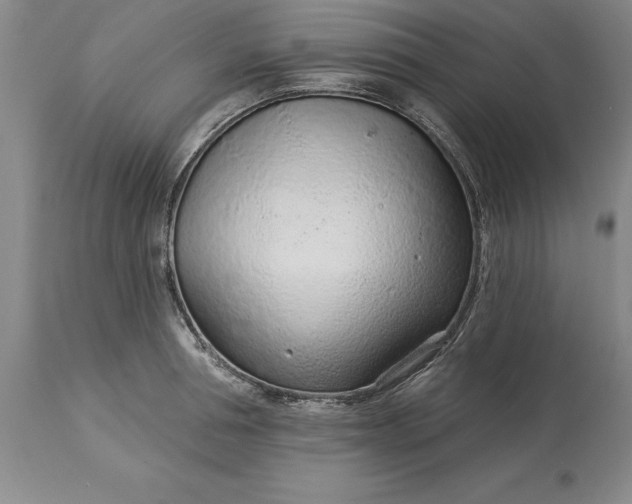 X0000113630994200910021848