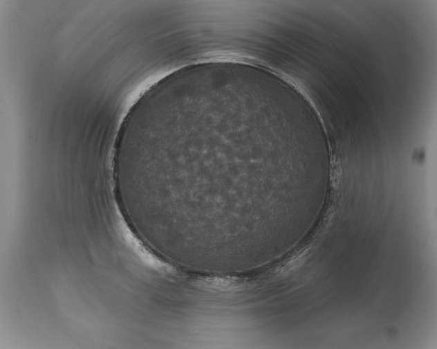 X0000113630995200910021848