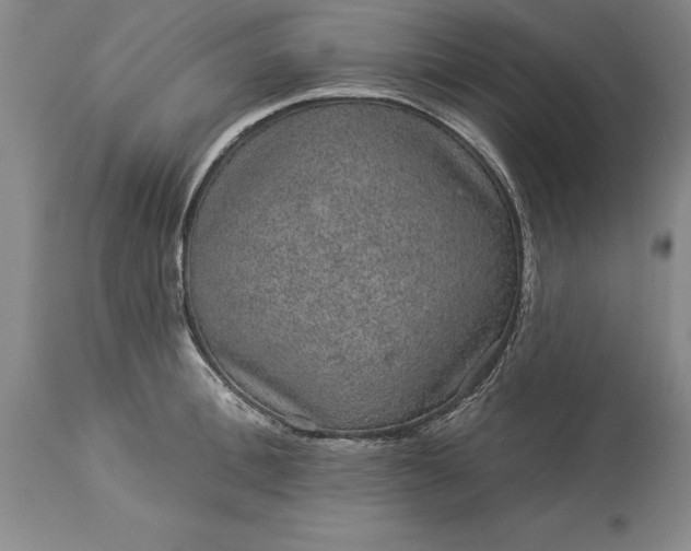 X0000113630996200910021848