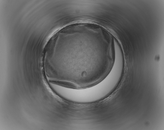 X0000113630997200910021848