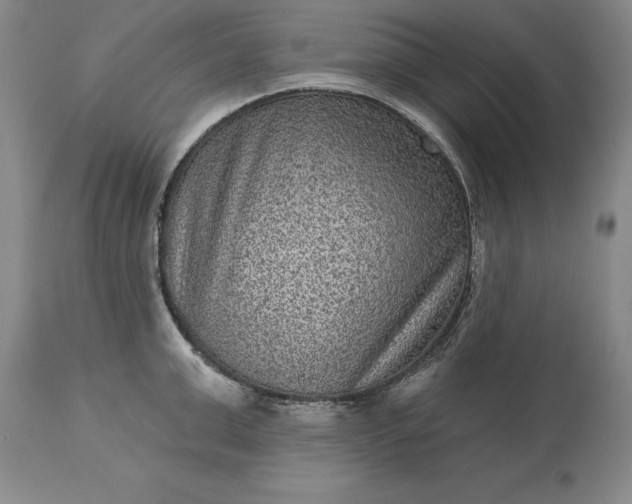 X0000113630999200910021848