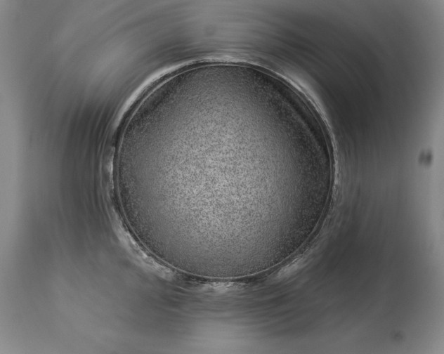 X0000113631000200910021848