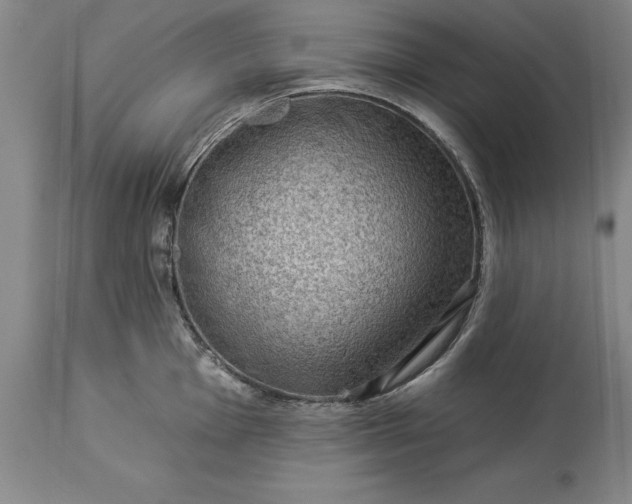 X0000113631001200910021847