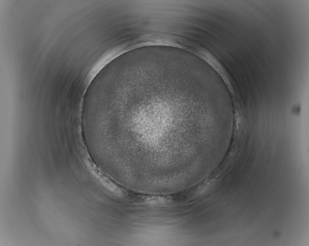 X0000113631002200910021847