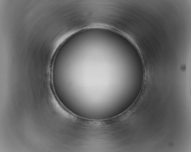 X0000113631003200910021847